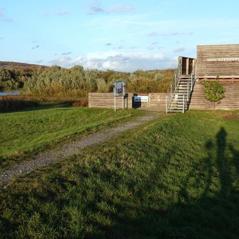 Vogelbeobachtung Leinepolder