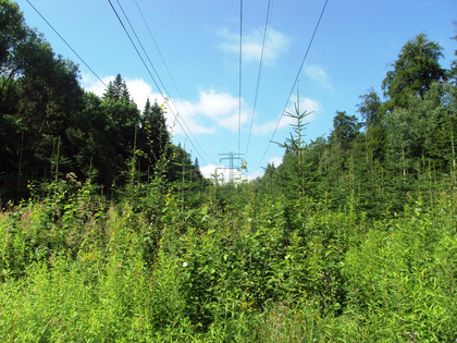 Salzgitter Höhenzug, Wanderweg 23 Hochspannungsleitung