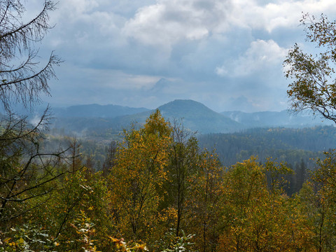 Aussicht vom Großen Pohlshorn Herbstliche Waldlandschaft mit bunten Bäumen und nebelverhangenen Bergen im Hintergrund.Autumnal forest landscape with colorful trees and misty mountains in the background.Podzimní lesní krajina s barevnými stromy a mlžnými horami v pozadí.Jesienny krajobraz leśny z kolorowymi drzewami i zamglonymi górami w tle.Herfstig boslandschap met kleurrijke bomen en mistige bergen op de achtergrond.Paesaggio forestale autunnale con alberi colorati e montagne nebbiose sullo sfondo.