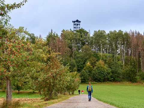 Weg zum Weifberg Person mit Hund auf Waldweg, Aussichtsturm im Hintergrund.