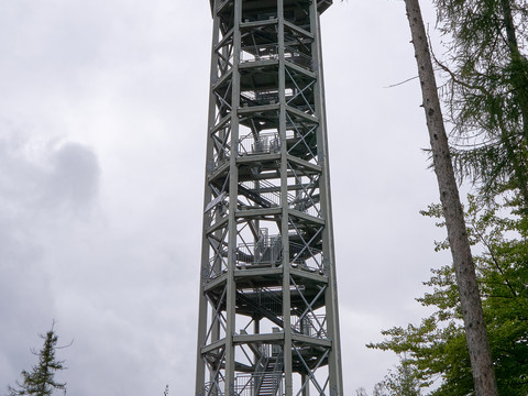 Weifbergturm Hoher Aussichtsturm aus Metall im Wald, umgeben von hohen Bäumen.