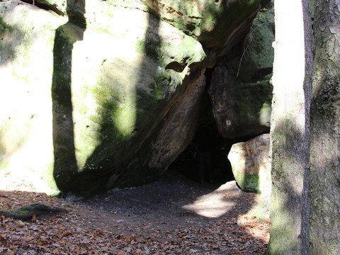 Waldweg mit Laub bedeckt führt zu einer großen Felsenhöhle.