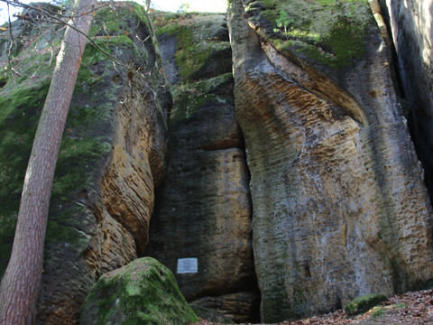 Götzinger Höhle Hohe Felsformationen in einem Wald, bedeckt mit Moos und Laub.High rock formations in a forest, covered with moss and foliage.Vysoké skalní útvary v lese porostlé mechem a listím.Wysokie formacje skalne w lesie, pokryte mchem i liśćmi.Hoge rotsformaties in een bos, bedekt met mos en gebladerte.Alte formazioni rocciose in una foresta, ricoperte di muschio e fogliame.