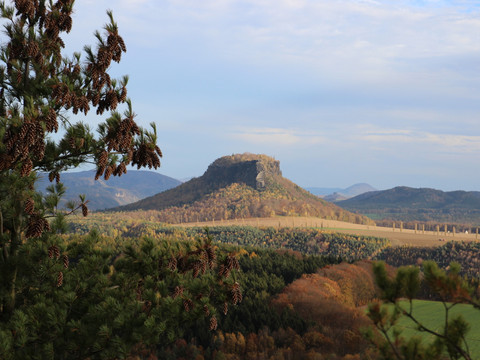 Blick auf einen markanten Berg und herbstlich gefärbte Wälder, gerahmt von Nadelbaumzweigen.