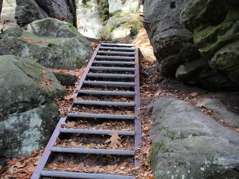 Eisenleiter zwischen großen Felsbrocken im Herbstwald.