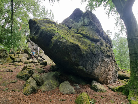 Großer Felsblock mit Moos bedeckt im Wald, umgeben von Bäumen und kleineren Steinen.