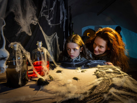 Spuk unterm Weihnachtsbaum