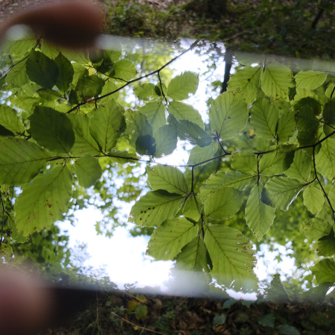 Spiegel (c) Catharina Schütze.jpg