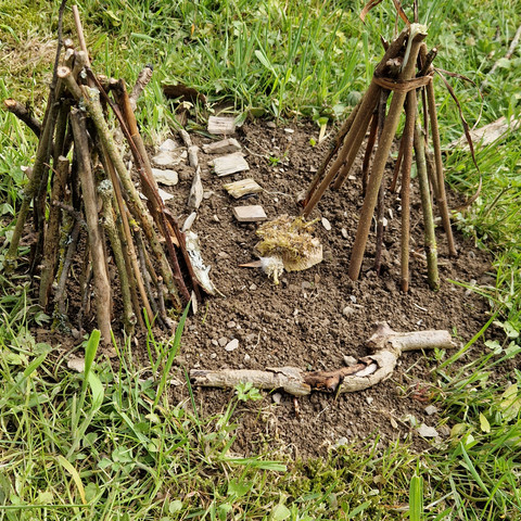 Stehende Stöcke (c) Catharina Schütze.jpg
