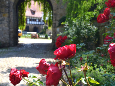 Hotel & Spa Wasserschloss Westerburg - Tor Hotel & Spa Wasserschloss Westerburg - Blick durchs Tor
