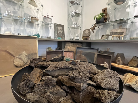 Devona Shop Ein moderner Ausstellungsraum mit natürlichen Steinobjekten und eleganten Pflanzenarrangements.