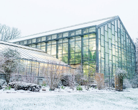 Lichtergarten-c-ChristophWorsch.jpg Botanischer Garten Jena im Schnee