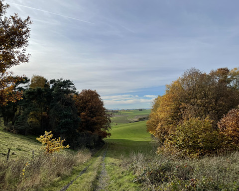 Herbstliche Tour auf dem Birkenhof Rundweg 1