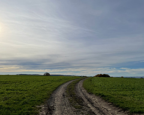 Durch Feld und Flur bei Dainrode
