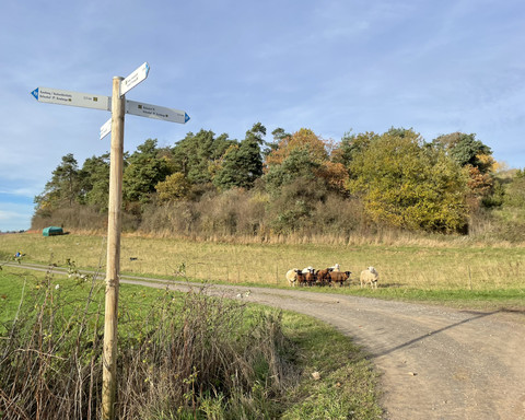 Unterwegs auf dem Birkenhof Rundweg 2