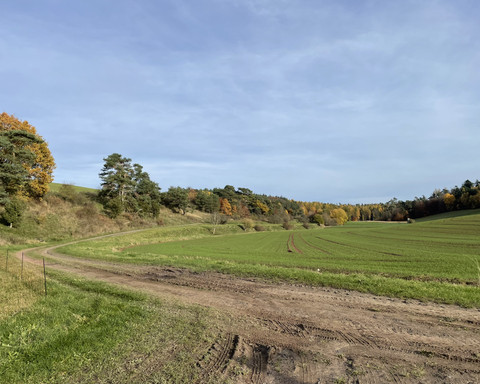 Herbstliche Wanderung auf dem Birkenhof Rundweg 2