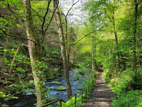 Malerweg an der Wesenitz