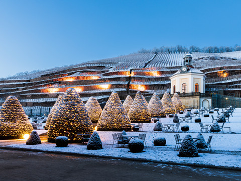 Wackerbarth_Radebeul_2022_Daniel Bahrmann (2).jpg
