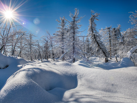Winter in der Urlaubsregion Altenberg