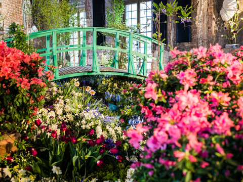 Bunte Blumen umgeben eine grüne Holzbrücke in einem Gewächshaus mit großen Fenstern.Colorful flowers surround a green wooden bridge in a greenhouse with large windows.Barevné květiny obklopují zelený dřevěný most ve skleníku s velkými okny.Kolorowe kwiaty otaczają zielony drewniany most w szklarni z dużymi oknami.Kleurrijke bloemen omringen een groene houten brug in een kas met grote ramen.Fiori colorati circondano un ponte di legno verde in una serra con grandi finestre.