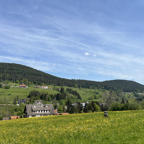 Panoramablick