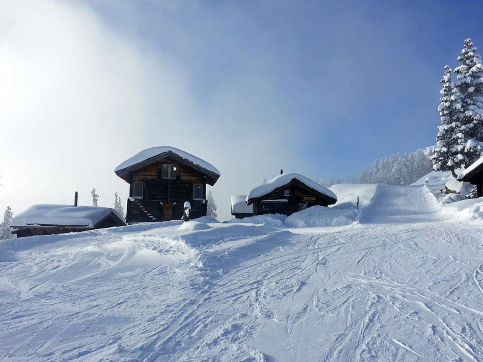 Screenshot_20251114_073235_Samsung Internet