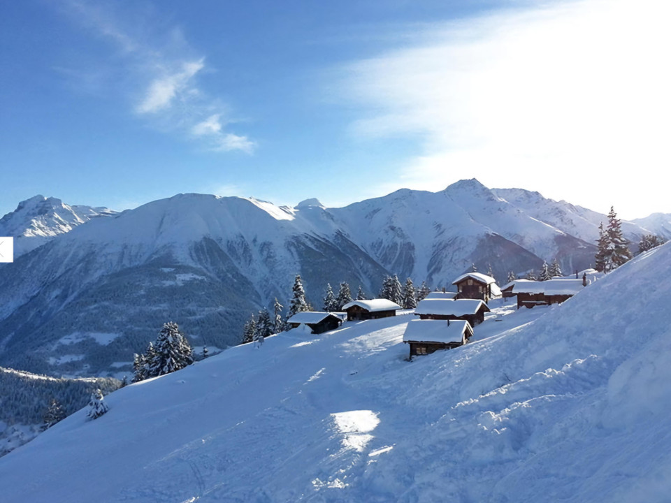 Screenshot_20251114_073334_Samsung Internet