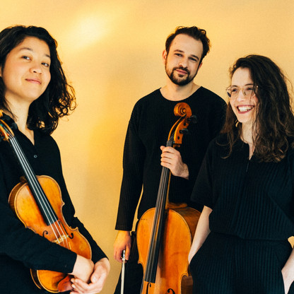 Avin Trio FotoMoritzPeters 1.jpg