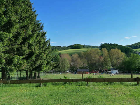 Camping "Am Mühlenberg"