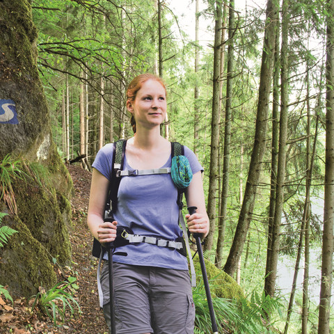 Wandern auf dem Natursteig Sieg