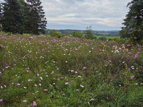 Panorama trifft Gemütlichkeit