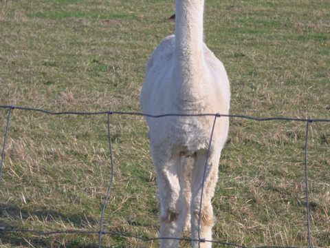 Panorama trifft Gemütlichkeit