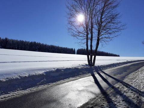 Winterimpressionen Buchholzer Wald