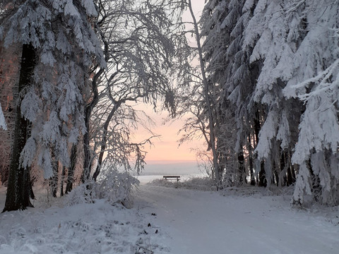 Winterimpressionen Buchholzer Wald