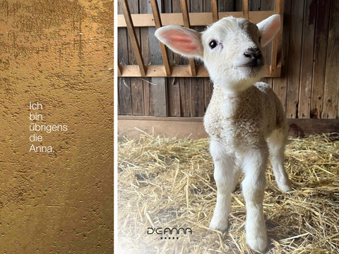 dieanna Ich bin übrigens die Anna