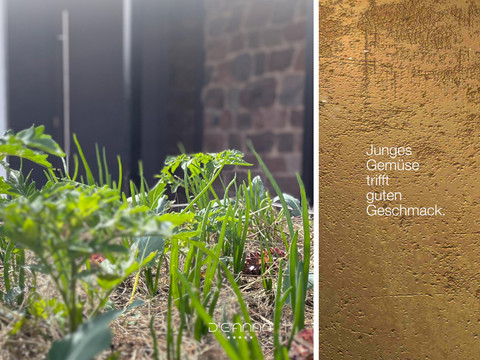 dieanna Junges Gemüse trifft guten Geschmack