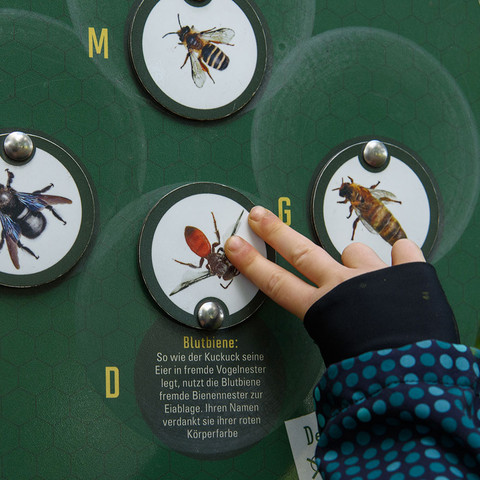 Bienenlehrpfad Eitorf