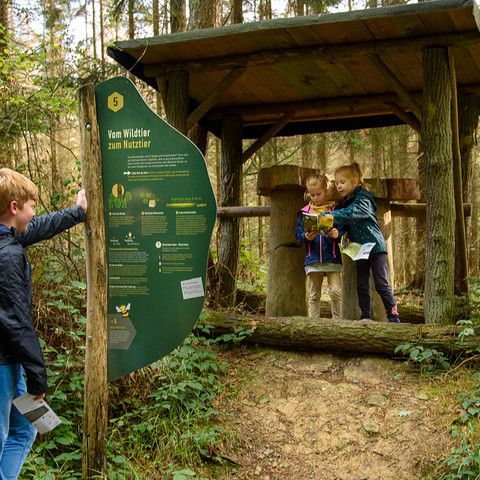 Bienenlehrpfad Eitorf