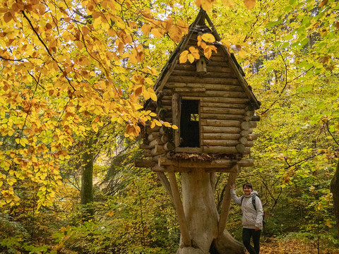 Hexenhäusel im Wald