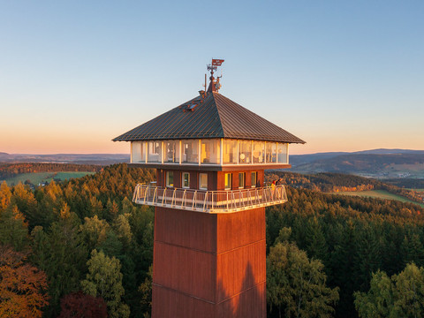 König-Albert-Turm im Spiegelwald