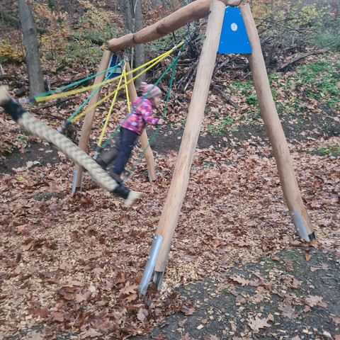Schaukel am Grafenschatzweg