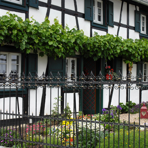 Fachwerk in Stadt Blankenberg