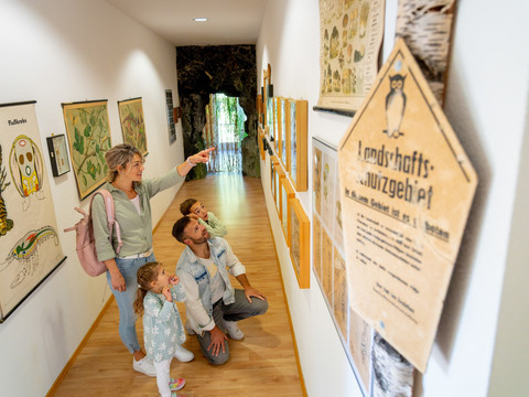 Mineralienzentrum Schneckenstein