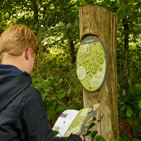 Waldlehrpfad Eitorf