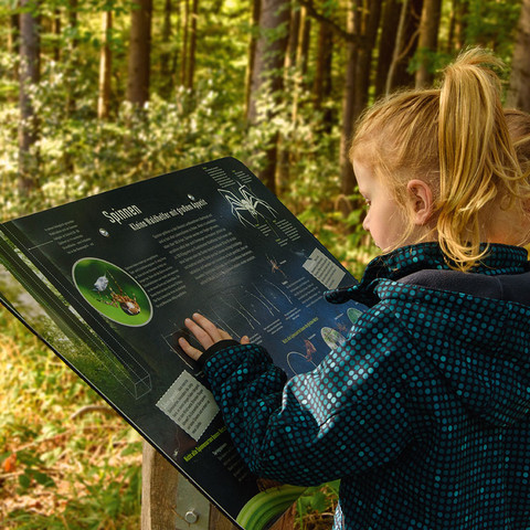 Waldlehrpfad Eitorf