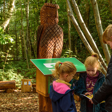 Waldlehrpfad Eitorf
