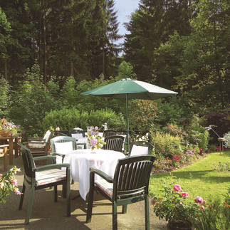 Landhaus Meyer - Osterode-Riefensbeek - Terrasse