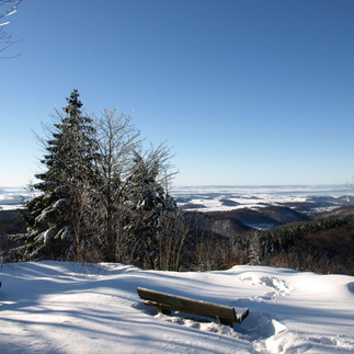 Winterimpressionen in Bad Sachsa Foto: Michael Schaschek