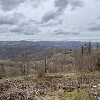 Blick vom Stöberhai auf den Hochharz