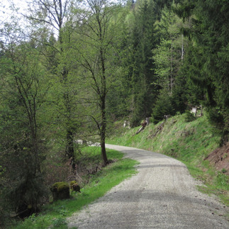 Wanderweg im Kunzental